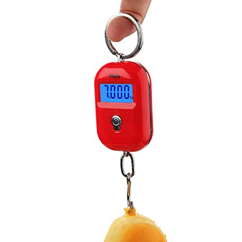 Steelyard LCD Digital Hanging Scale Mini balanza electrónica de gancho de equipaje LCD Backlight Kitchen Steelyard 25Kg x 5g censhaorme