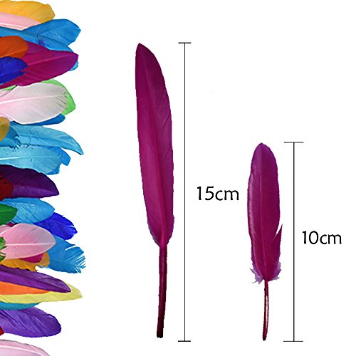 SUNMI 300 Piezas Plumas De Colores 10-15cm / 4-6 ''