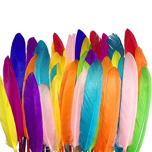 SUNMI 300 Piezas Plumas De Colores 10-15cm / 4-6 ''