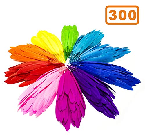 SUNMI 300 Piezas Plumas De Colores 10-15cm / 4-6 ''