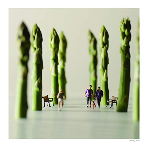 Tanaka, T: Small Wonders: Life Portrait in Miniature