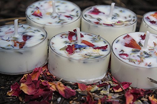 TooGet Los Pétalos y Capullos de Las Flores Incluyen Lavanda, Rosa, Gomphrena globosa, Jazmín, Flor de Té Verde a Granel, Tipo de Manualidades