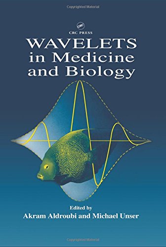 Wavelets in Medicine and Biology