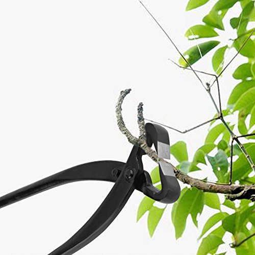 Zerodis 210mm/270mm Profesional Branch Cutter Aleación de Acero Manganeso Afilada Cuchilla Cortadora Plantas de Jardinería Bonsai Herramientas(210mm)